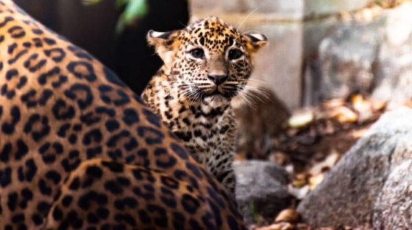 National Zoo