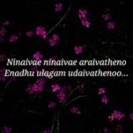 kanave kanave song lyrics ( tamil ) David movie Anirudh Ravichander