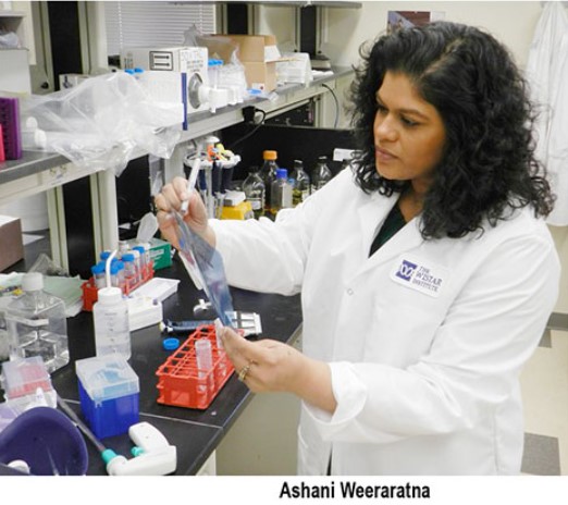 Ashani Weeraratna