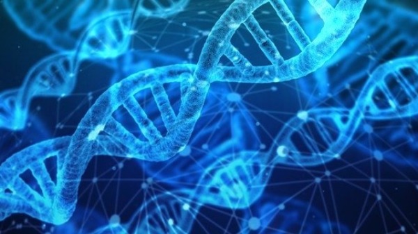 DNA computing