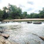 Kumana