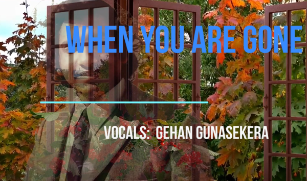 When You Are Gone - by Gehan Gunasekera