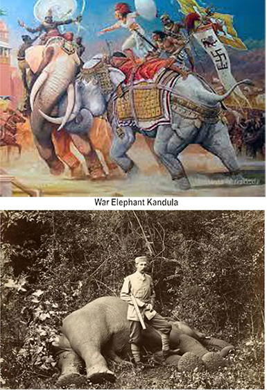save our elephants