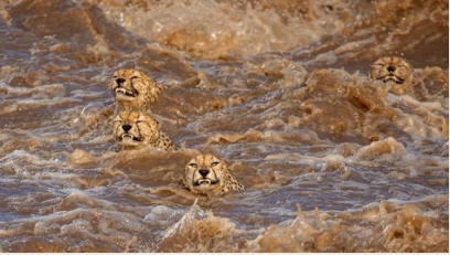 Buddhilini De Soyza wins worldwide Nature Conservancy Photography Competition