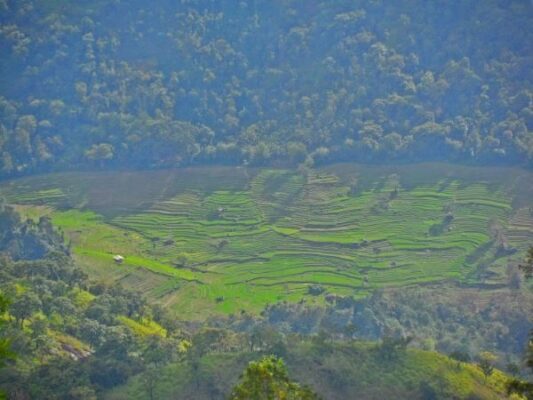 Kohonawala - cinematic hamlet in Central Highlands