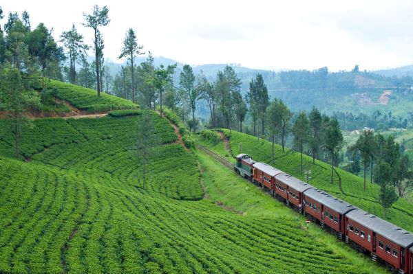 Sri Lanka Virtual MICE Expo 2021 – 1st to 3rd December 2021