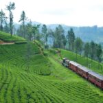 Sri Lanka Virtual MICE Expo 2021 – 1st to 3rd December 2021
