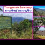Tangamale Bird sanctuary - haven for avifauna aficionados