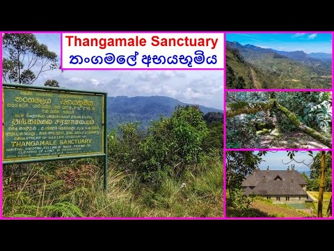 Tangamale Bird sanctuary - haven for avifauna aficionados