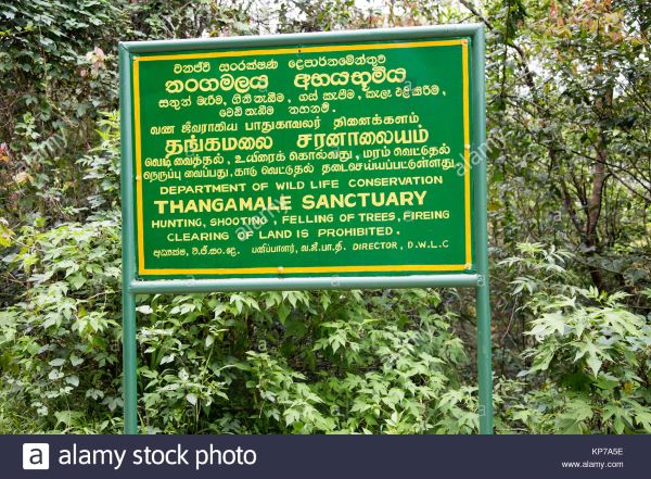 Tangamale Bird sanctuary - haven for avifauna aficionados