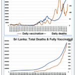 Vitamin D and strengthening the Immunity to overcome COVID-19 – by Sunil J. Wimalawansa22