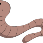 earth-worm