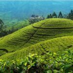 green socio-economic system