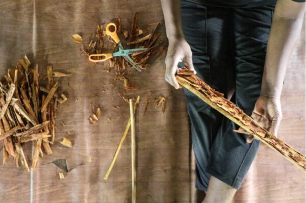 stuffs cinnamon barks