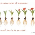 Focus on The Small Picture - By Lucky Karunaratne