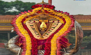 Nallur Kandaswamy Kovil 4