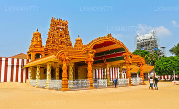 Nallur Kandaswamy Kovil 6