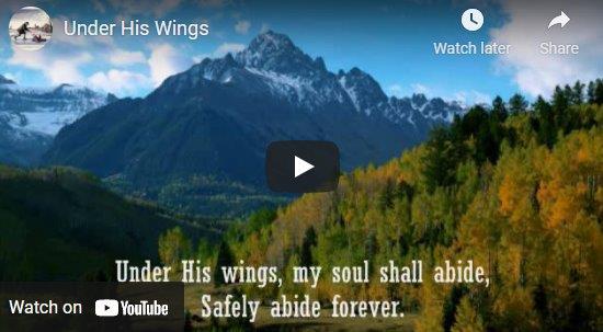 under his wings