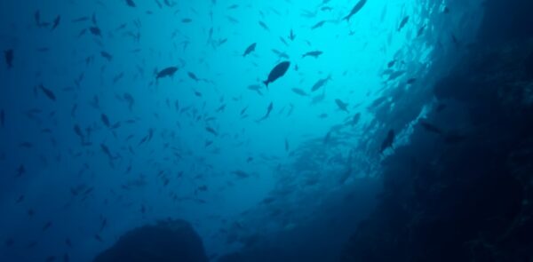 How The Internet Travels Across Oceans