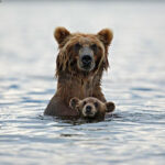 Parenting in the Wild