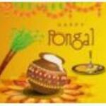 Thai pongal