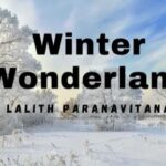 Winter Wonderland by Lalith Paranavitana