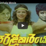 Peralikarayo Sinhala Movie