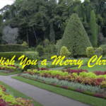 Christmas carols - an instrumental presentation by Shanti Hyacinth Senadeera