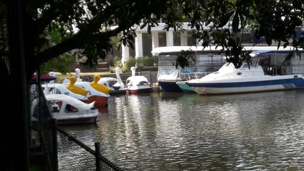 Diyatha Uyana - serenity amidst tree-lined boulevards By Arundathie Abeysinghe
