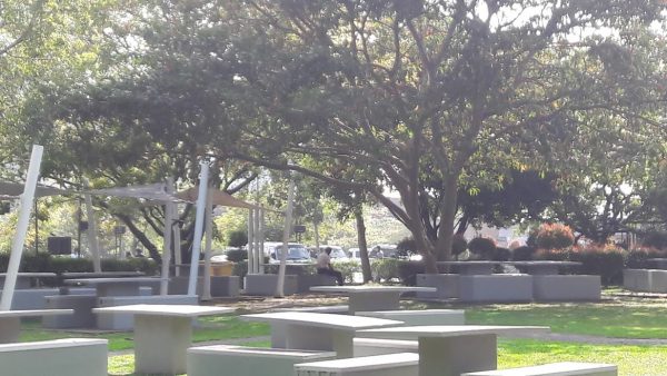 Diyatha Uyana - serenity amidst tree-lined boulevards By Arundathie Abeysinghe