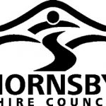 Hornsby Shire's Australia Day events wowed the crowd (1)