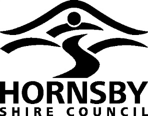 Hornsby Shire's Australia Day events wowed the crowd (1)