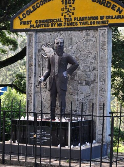 James Taylor’s seat - birthplace of ‘Ceylon Tea’ By Arundathie Abeysinghe