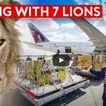 Special Rescue Flight