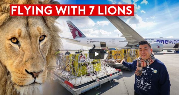 Special Rescue Flight