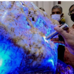 Sri Lanka Is Looking To Sell ‘Queen of Asia’, Its 310-Kg Blue Sapphire, If The Buyer Pays Over US$100 Mn By ABP News Bureau