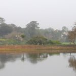 Talangama Wetlands - unique microcosm of fauna and flora By Arundathie Abeysinghe