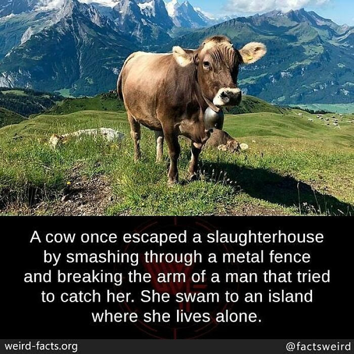 FACTS OF LIFE