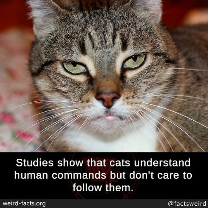 FACTS OF LIFE