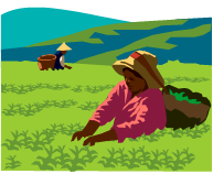 Lessons Learned from the Dean of the Faculty of Agriculture & Thereon – by Noor Rahim