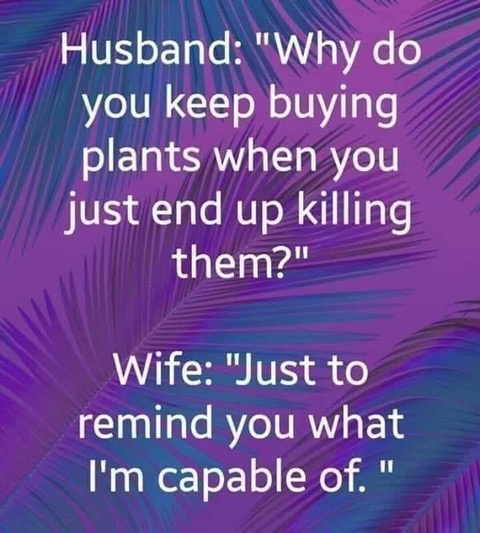 Marital bliss