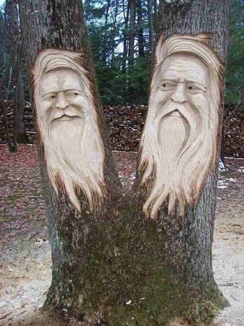 TREES