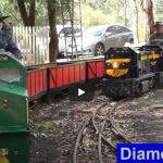 The Diamond Valley Railway