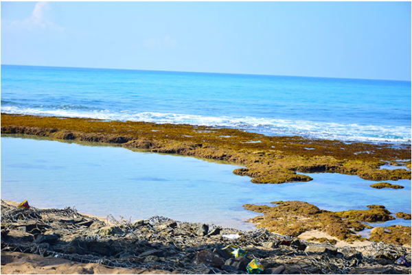 Almost all about Ambalangoda - By Uditha Devapriya