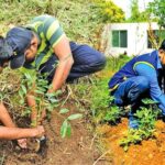 International Day of Forests tomorrow Healthy forests mean healthy people - by NIMAL WIJESINGHE