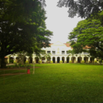 Maris Stella in the 1950s and 60s – by GEORGE BRAINE