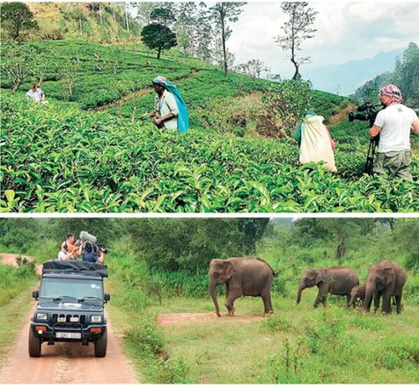 Tourism