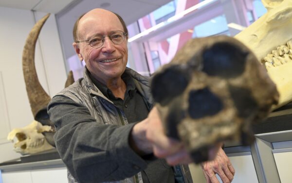 ‘We don’t know from which creature humans and chimpanzees evolved’