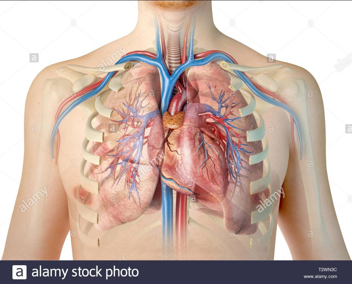 coronary heart disease