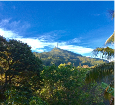Hantana – A Fond Farewell - By GEORGE BRAINE